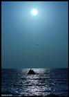 dailyPhoto3